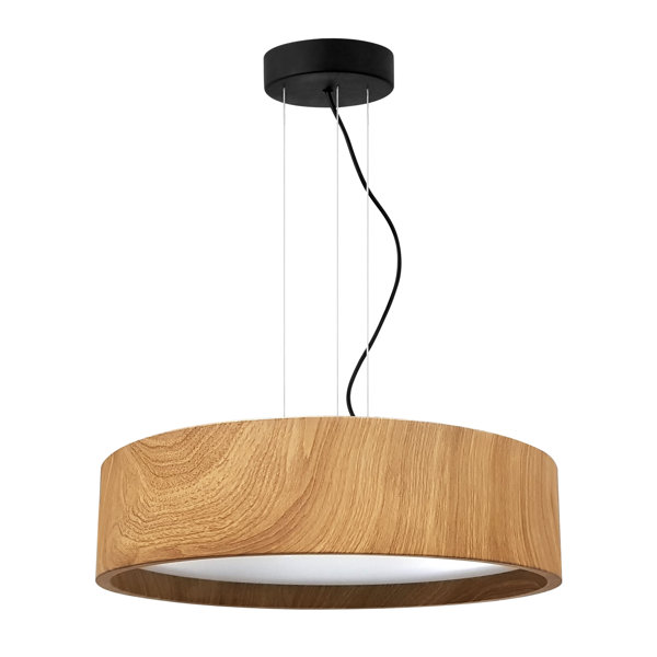 Ebern Designs LED-Trommel-Pendelleuchte 1-flammig Griego | Wayfair.de